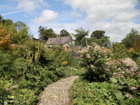 June Blake's Garden